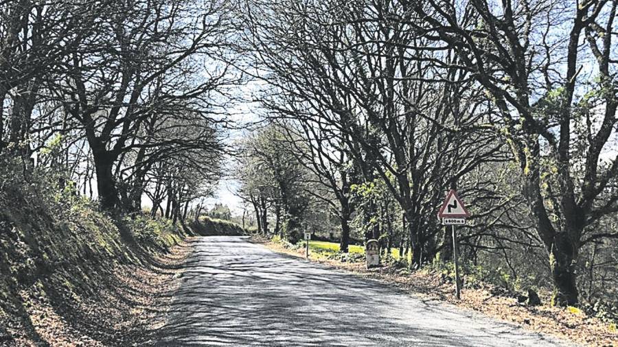 La vía LU-231 de Friol a Palas de Rei es de las últimas carreteras que quedan en Galicia con árboles y muros