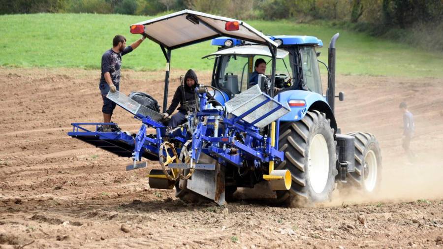 Uns homes traballan na preparación dunha finca para levar a cabo una plantación axudados por un tractor. Fotos: Puri Sangiao