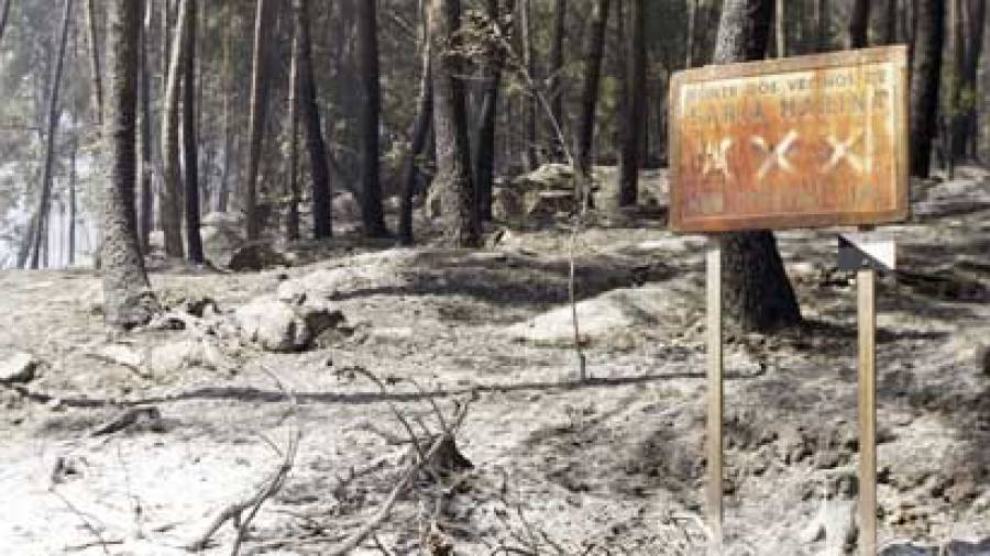 La Xunta podrá cambiar el uso de los montes quemados