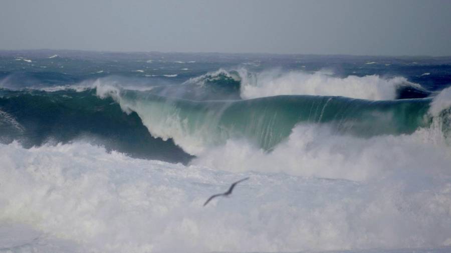 A CORUÑA, 28/12/2020.- Una gaviota sobrevuela las grandes olas que rompen con fuerza en A Coruña, este lunes en el que la borrasca Bella seguirá aportando inestabilidad, con todo el litoral gallego en alerta EFE/ Cabalar
